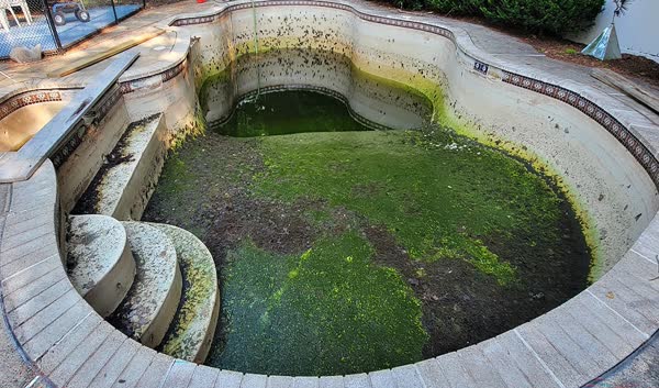 Before: Pool with green water and deteriorating plaster needing renovation